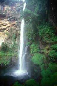 Cascade