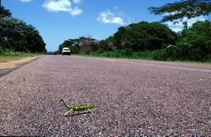 La route
